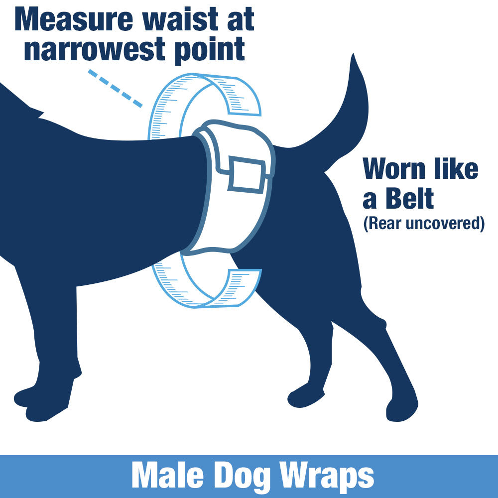 ValueWrap Male Wraps, Disposable Dog Diapers, Carbon, 1-Tab Extra Small, 144 Count - Activated Charcoal, Snag-Free Fastener, Leak Protection, Wetness Indicator 