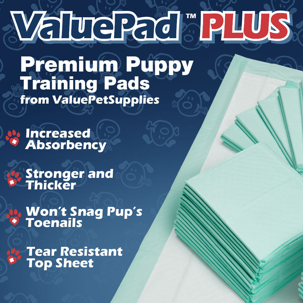 ValuePad Plus Puppy Pads, Medium 23x24 Inch, 200 Count - Premium Pee Pads for Dogs, Tear Resistant, Super Absorbent Polymer Gel Core, 5-Layer Design 