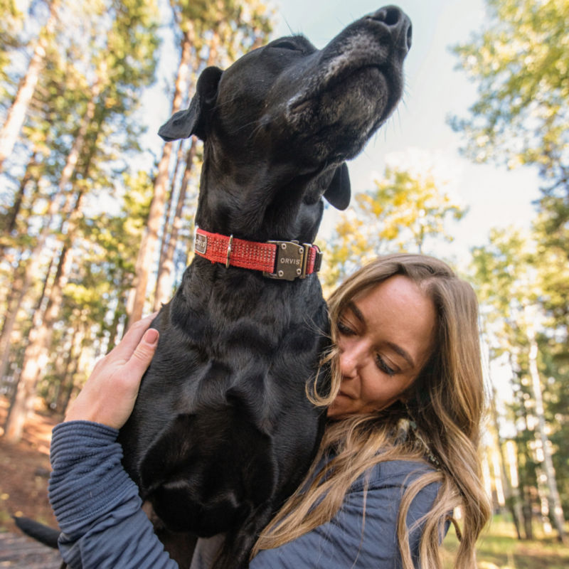 Tough Trail Dog Collar and Leash